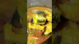 Snake Head Curry || Fish Curry || Fish || Murrel Fish Curry || Korrameenu || Murrel || #fishcurry