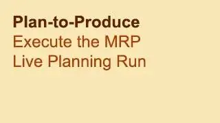 U4E11 S4H00 MRP Live Planning Run