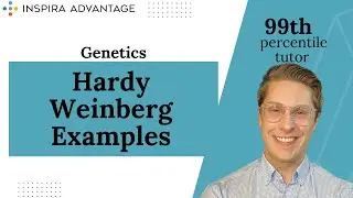 Genetics: Hardy Weinberg Examples | MCAT Crash Course