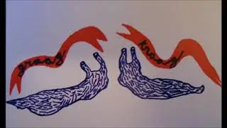 Sloow Tapes - Graag Traag compilation