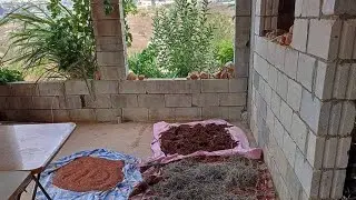 قرار رحيلي من الدار