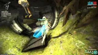 Funny Auto Melee Bug