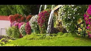 Nature's Melody: A Piano Sound Escape for a Soothing, Relaxing Mind