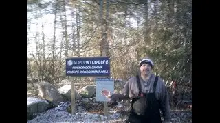 ICE FISHING/PANFISH/SE MASS. ICE STILL DOING GREAT/