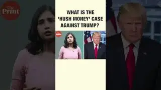 What is the 'hush money' case against Trump?