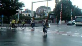 Simultaneous Green (Tegelijk Groen, all directions green)