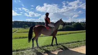 EUROPEAN CUP 2022  Lausanne CCI3*-S  - Zusa & Lynn Dybiona