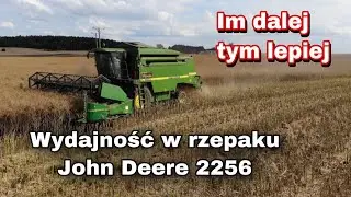#Żniwa2020 - rzepak roślina kt&oacute;ra potrafi zdenerwować jak żadna inna/ Kula