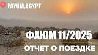 Фаюм Ноябрь 2025 Отчет о поездке