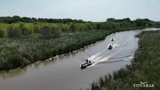 Contr&ocirc;le chataigne 2025