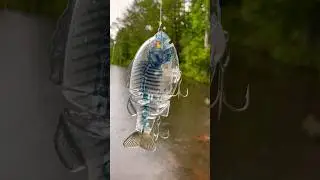 I Caught A MONSTER Bass On A $110 Glidebait!
