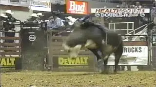 Dillinger bucks Dave Samsel - 00 PBR Charlotte