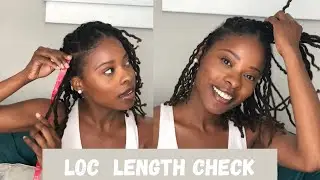 LOC LENGTH CHECK| HAIR GROWTH ADVICE AND UPDATES #locjourney #lengthcheck #locgrowth