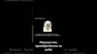 Дом построенный на риба. Шейх аль-Альбани #shorts #short #youtubeshorts #youtube #shortvideo #yt