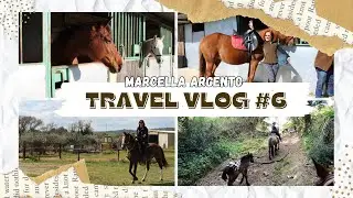 Forever La Fattoria del Cavaliere | Letture D'Argento