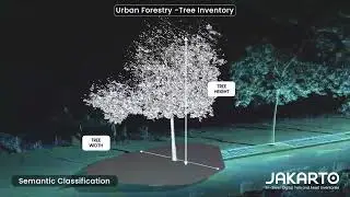 Urban Forestry - Tree Inventory