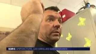 Apipuncture