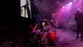 Fontaliza Scentles Volume live