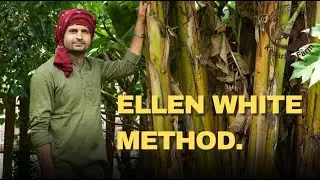 Lets Get To Know The Ellen White Method