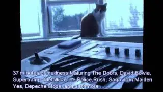 Tower 68-93 Medley preview 2