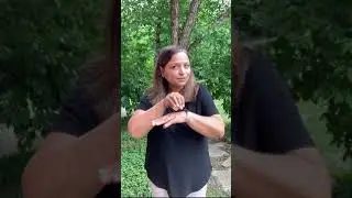 Township of Schaumburg Deaf Services