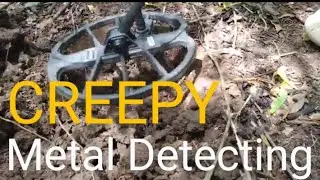 Creepy Metal Detectig inside the Forest I can stop my activity Ep.1