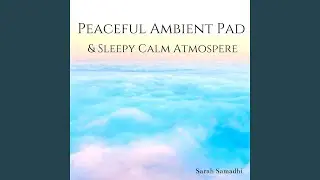 Zen Serenity