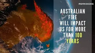 Australia Bushfire: It will take more than 100 years to restore ecological balance. || Share ll