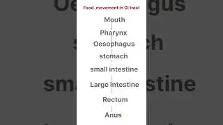 #medicalfacts #mouth #fooddigestion #shortvideo