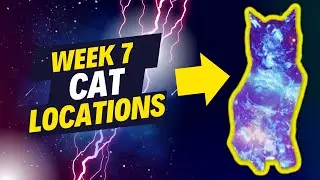 Starcat Locations Week 7 | Astral Cloister Starcat location guide