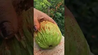 Traditional Fresh Spicy Raw Guava 🤤 #shorts