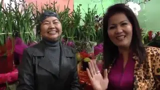 Hội Chợ Hoa Tết B&iacute;nh Th&acirc;n 2016 Tại Little Saigon / Asian Garden Flower Festival 2016 / P1