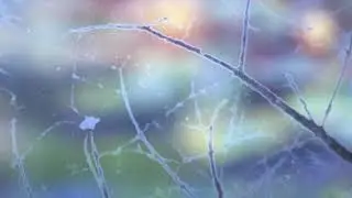 Fishbird - Eastern Sky
