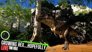 TRYING TO GROW A REX...AGAIN | The Isle  Live Stream