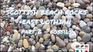 Scottish Beach Rocks Basic Guide part 2 Fossils