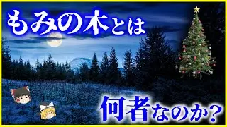 【ゆっくり解説】なぜ冬にもみの木を飾る？「もみの木」とは何者なのかを解説/クリスマスツリーに隠された“進化と歴史”