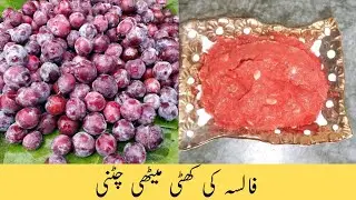 False ki Chatni Recipe by food Fusion family recipes/False ki khati methi chatni