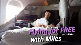 Flew the Singapore Airlines A380 Business Class for 65 SGD!!