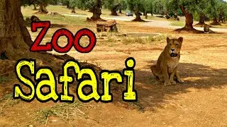Apeman A80 Action Cam Italy - Zoo Safari (Puglia)