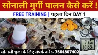 सोनाली मुर्गी पालन कैसे करें | Free Training Day 1 | Sonali Murgi Palan Jharkhand