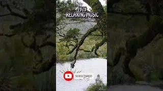Best Relaxing Music and #Shorts