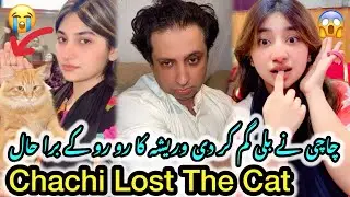 Chachi Lost The Cat | Daily Vlogs | Winters Vlogs | Faisalabad Vlogs 