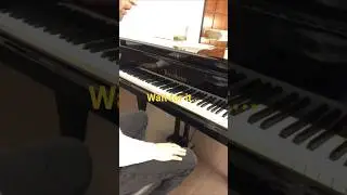 Expectation vs. Reality When you lie on your resume... 🎹😅  #piano #meme #short