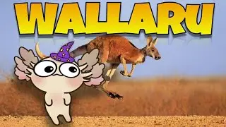 PRO WIZARD101 PLAYER STREAMS WALLARU