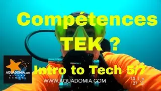 Les comp&eacute;tences plong&eacute;e TEK. Cours Intro To Tech TDI 5/7.