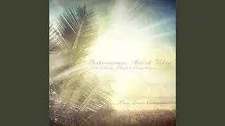 Precious Everlasting Moment (Little Diamond Remix)