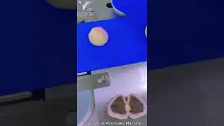 Dual-colour Mooncake Machine