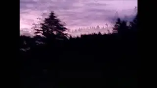 Orleg - Dream of Isolation (Experimental DSBM)