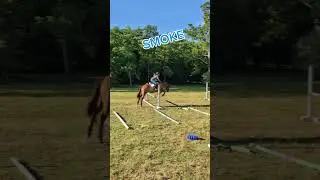 #allaround #equestrian #showprep #valhalla