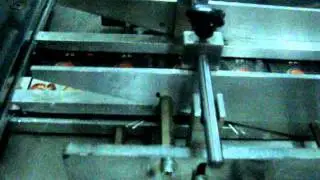 zain molasses - work 6